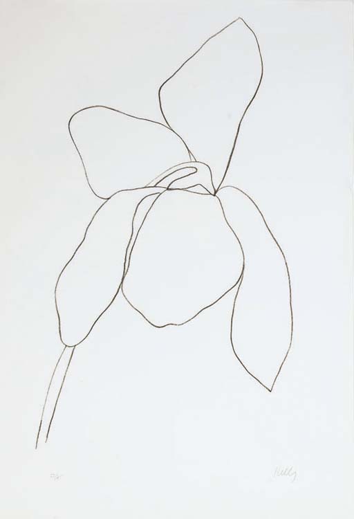 Cyclamen II (A. 37) 
