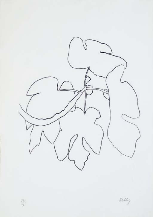 Fig Branch (A. 51) 
