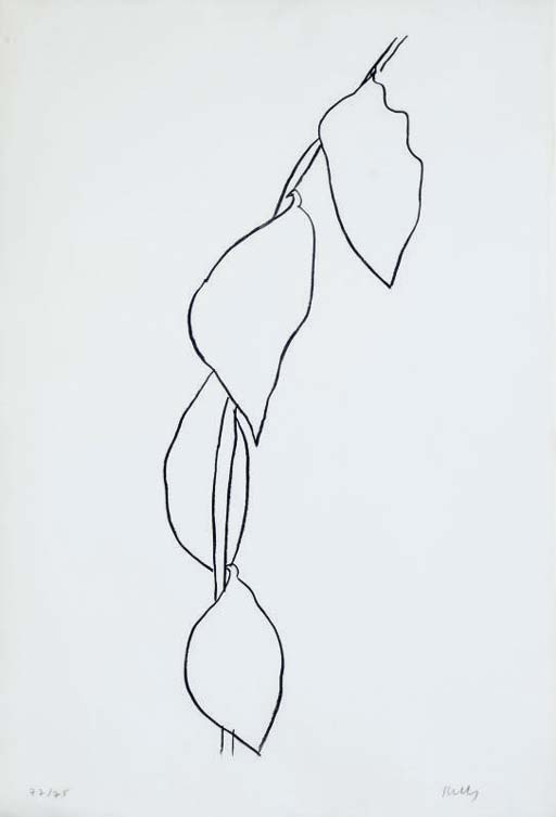 Lemon Branch (A. 57) 
