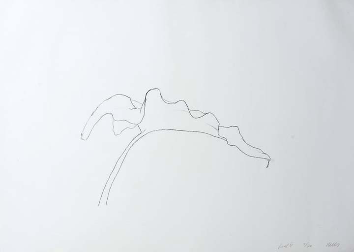 Leaf VI (A. 171) 
