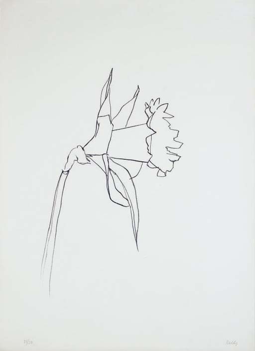 Daffodil (A. 188) 
