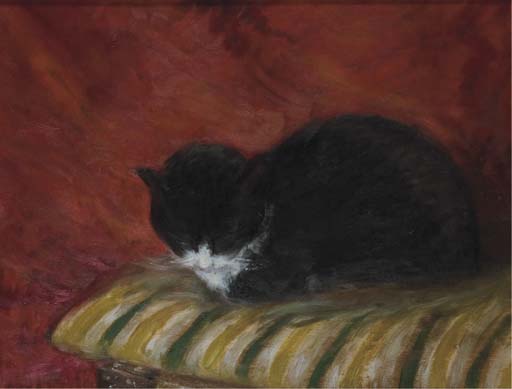 Chat sur un coussin 
