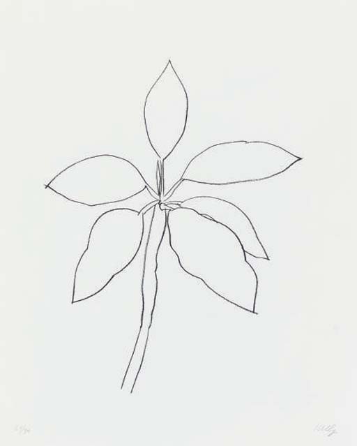 Tropical Plant (G. 1655) 
