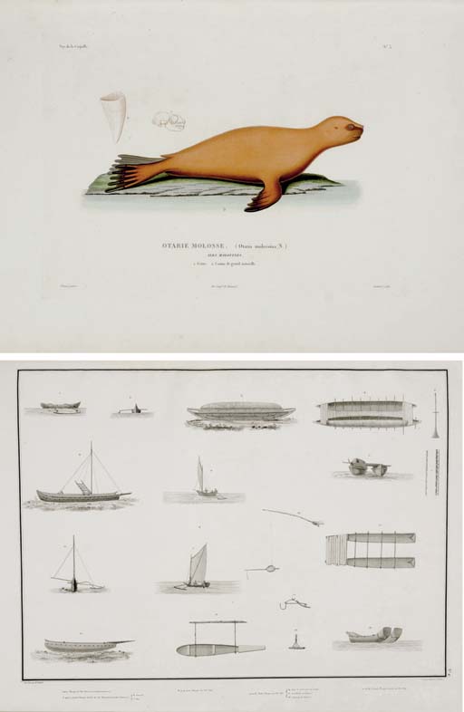 Duperrey Louis Isidore 1786 1865 Voyage Autour Du Monde Execute Per Ordre Du Roi Sur La Corvette La Coquille De Sa Majeste Pendant Les Annies 12 13 14 Et 15 Paris Firmin Didot For Arthus Bertrand 16 10