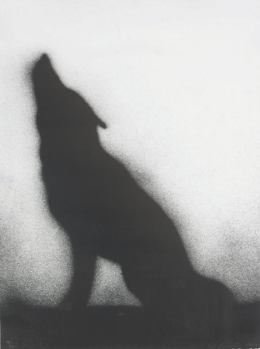 Coyote (E. 169) 
