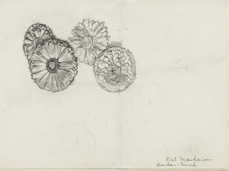Study of four Marigolds 
