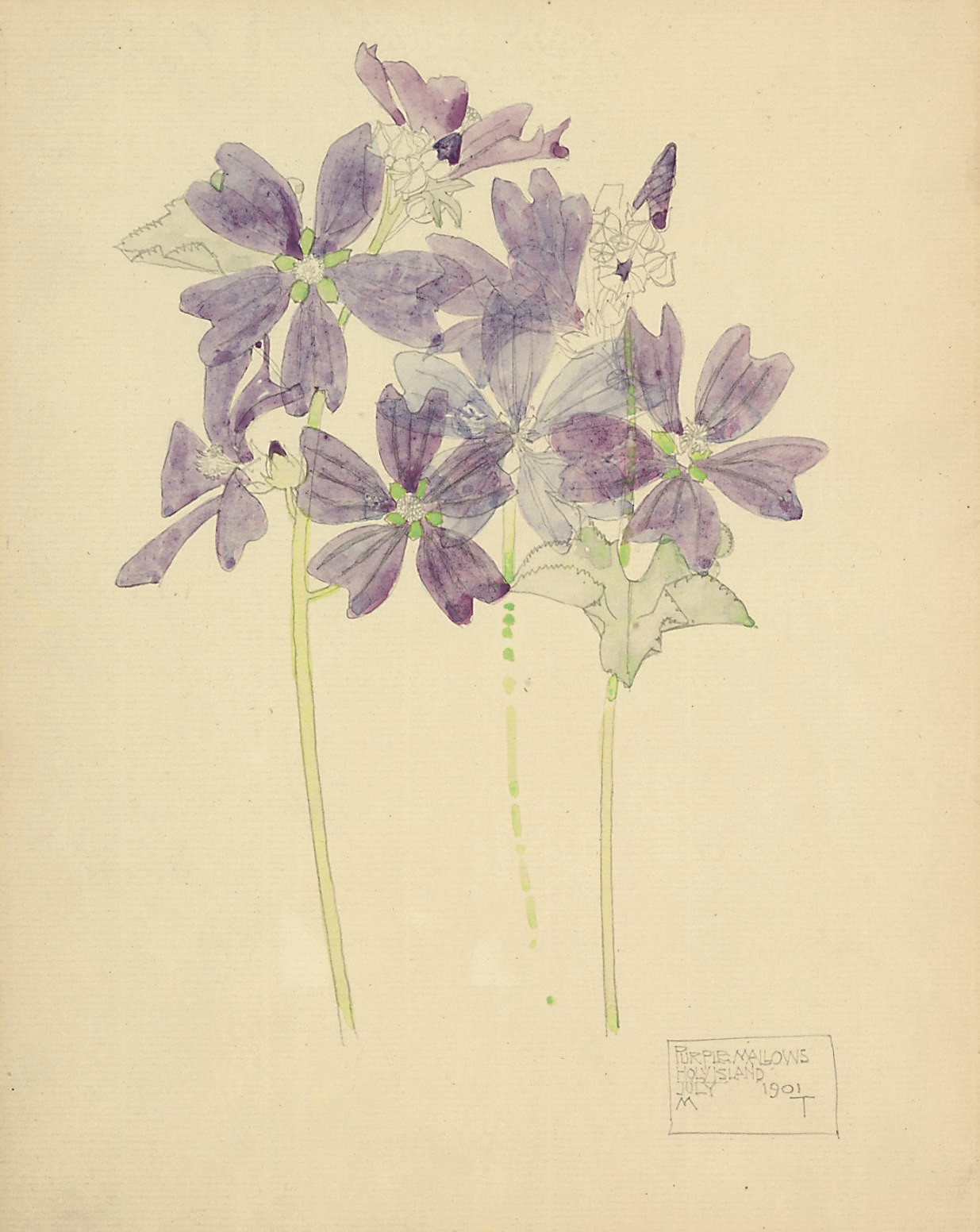Charles Rennie Mackintosh (18681926) , Purple Mallows, Holy Island