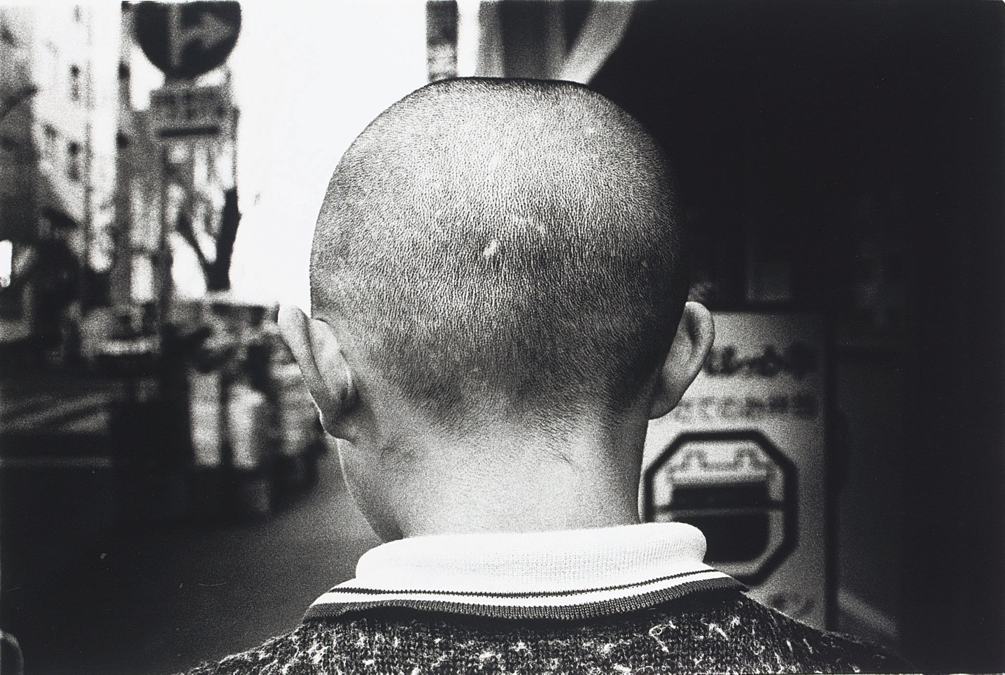 「memories as a dog moriyama」的圖片搜尋結果