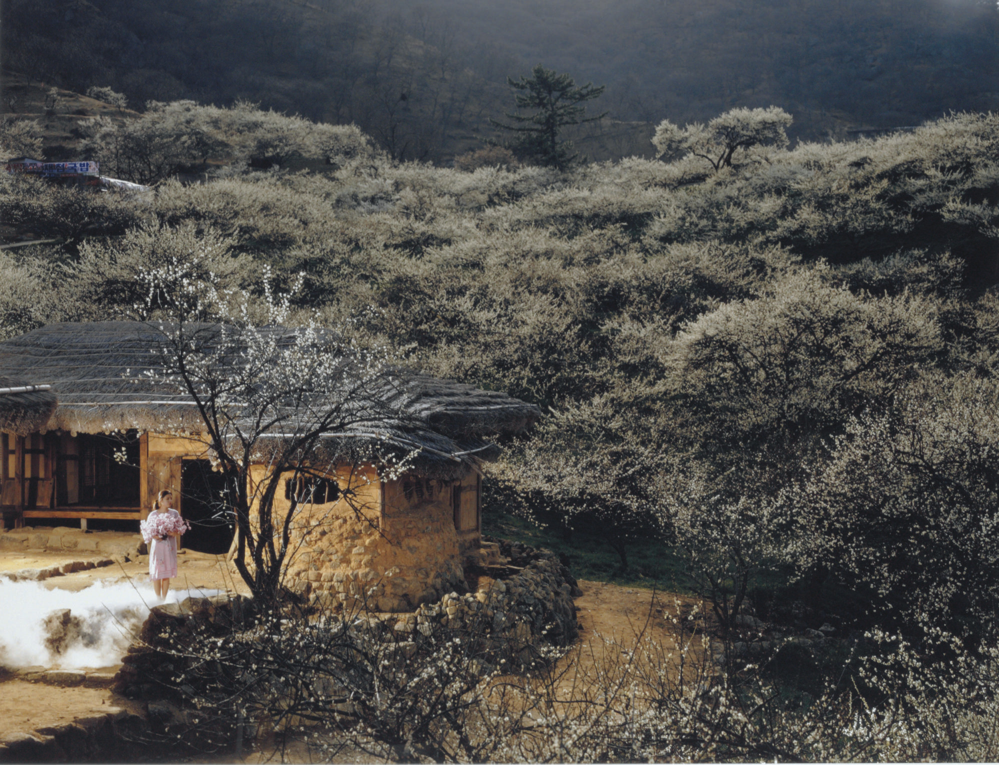Yeondoo Jung (b. 1969), Location #9 from 'I'll Remember You', 2006. 48 x 61 in (122 x 155 cm). Sold for &pound;18,500 on 15 May 2008 at Christie&rsquo;s in London