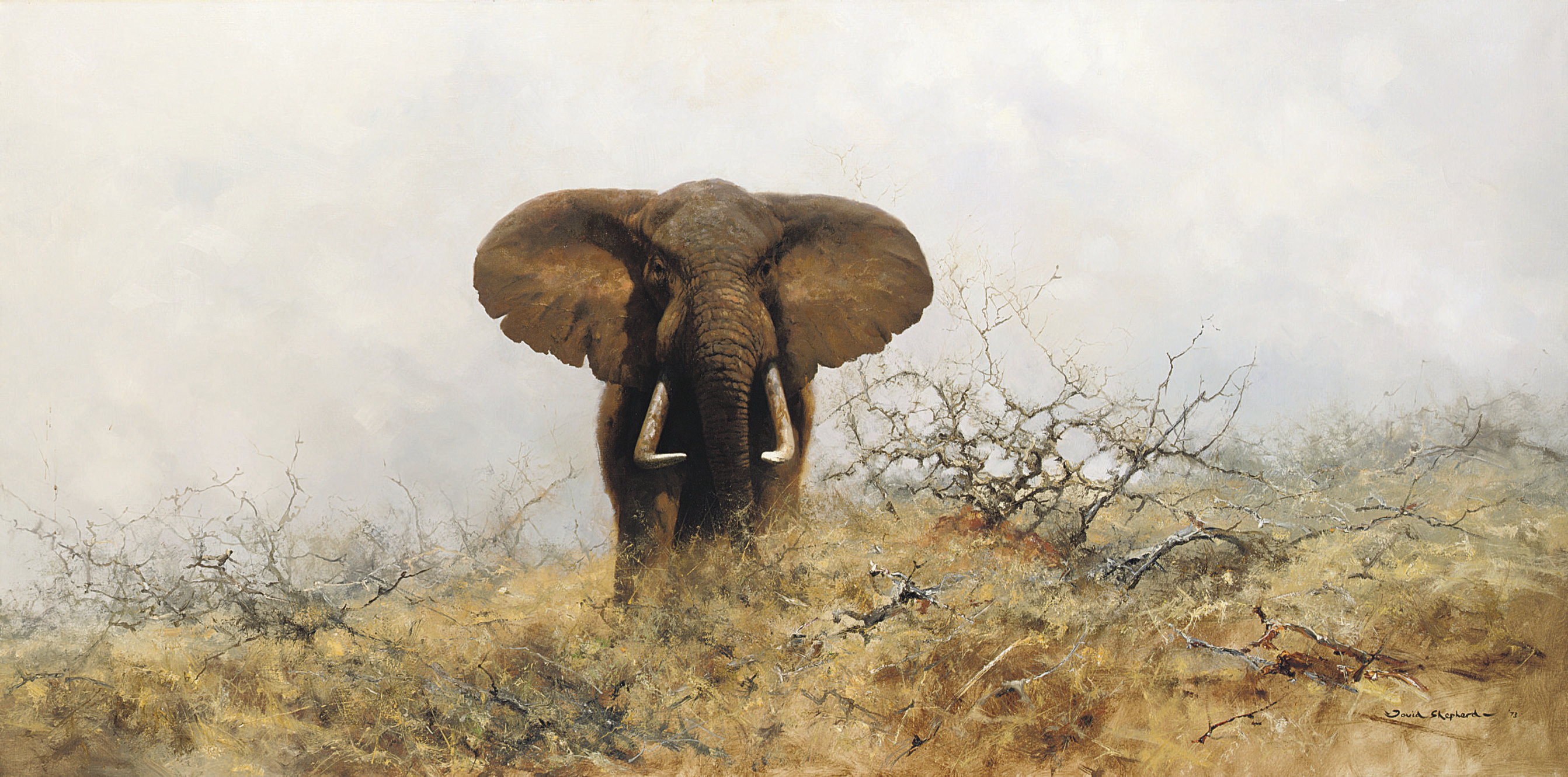 David Shepherd (b.1930) , Lone bull elephant Christie's