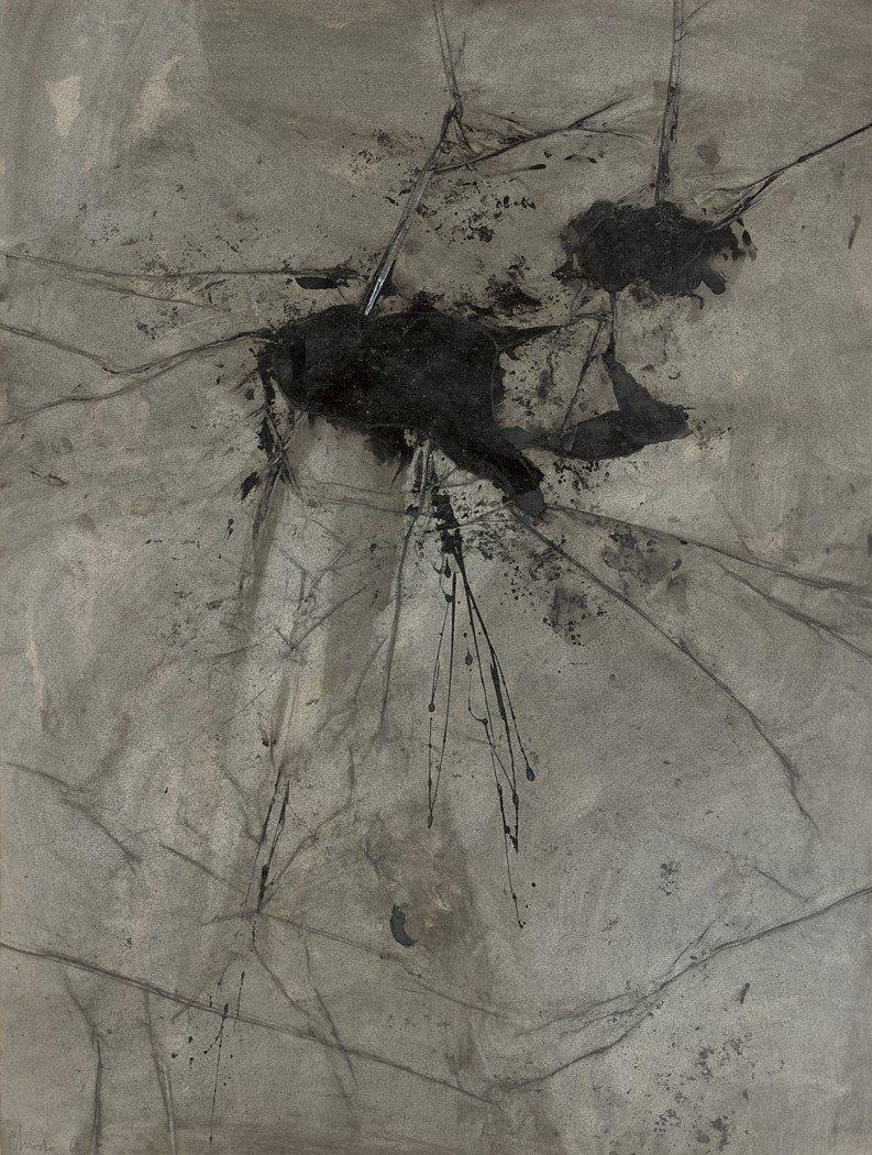 Wrapped reichstag meaning picture