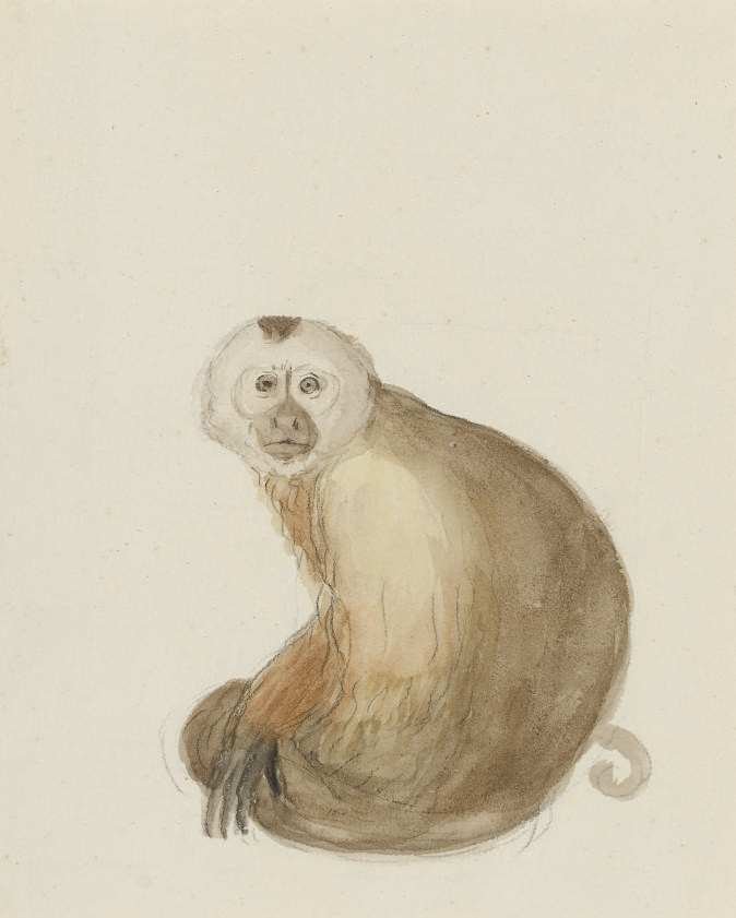 JeanBaptiste Audebert (17591800)