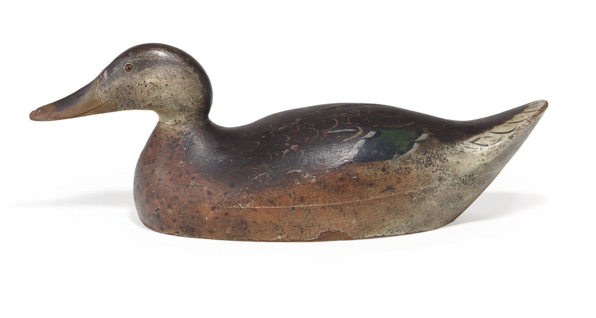 A MALLARD HEN