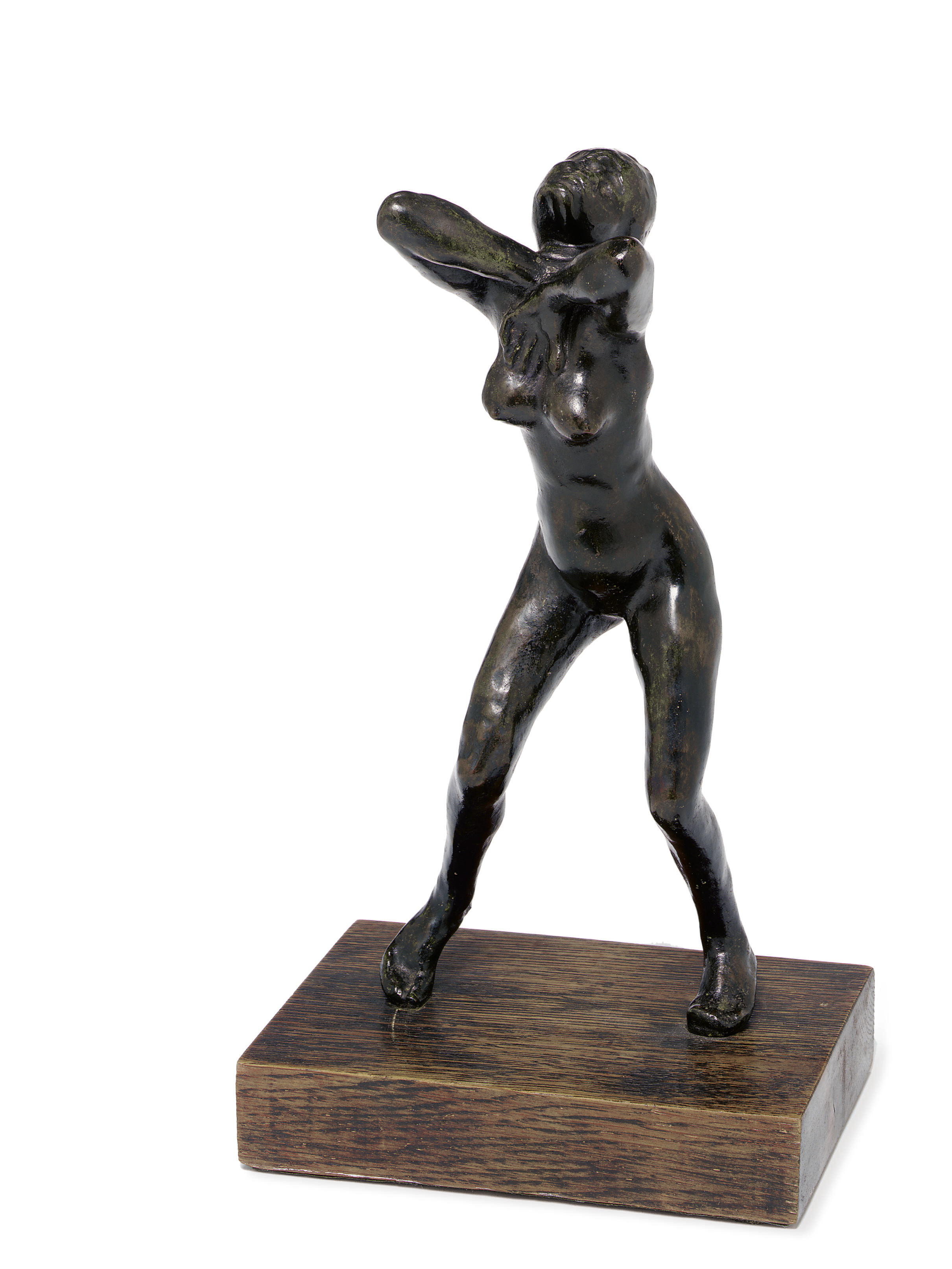 Rodin thesis 07 picture