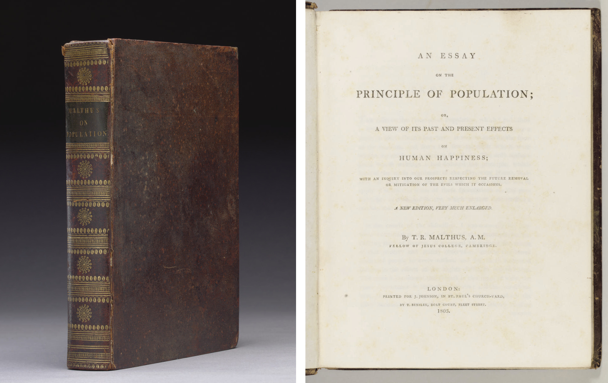 Thomas malthus introduced picture