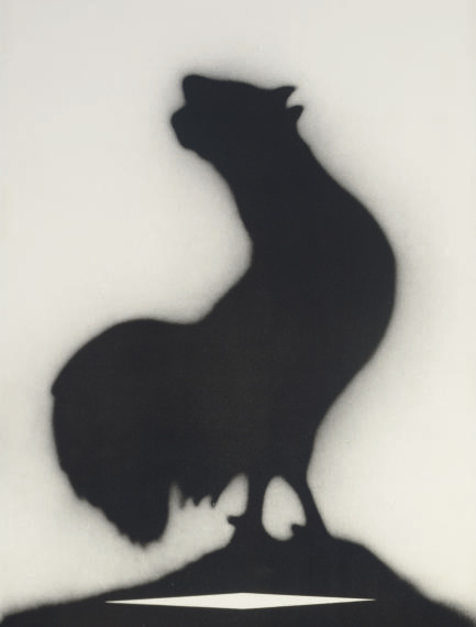 Gallo (E. 165) 
