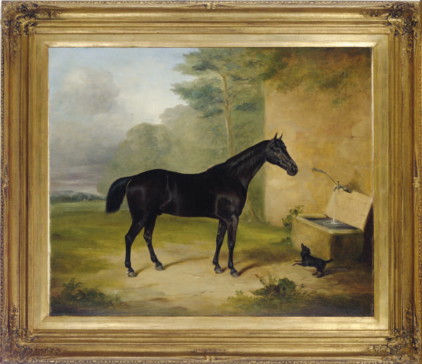 Attributed to Benjamin Herring Sr. (BRITISH, 18061830) , A black horse