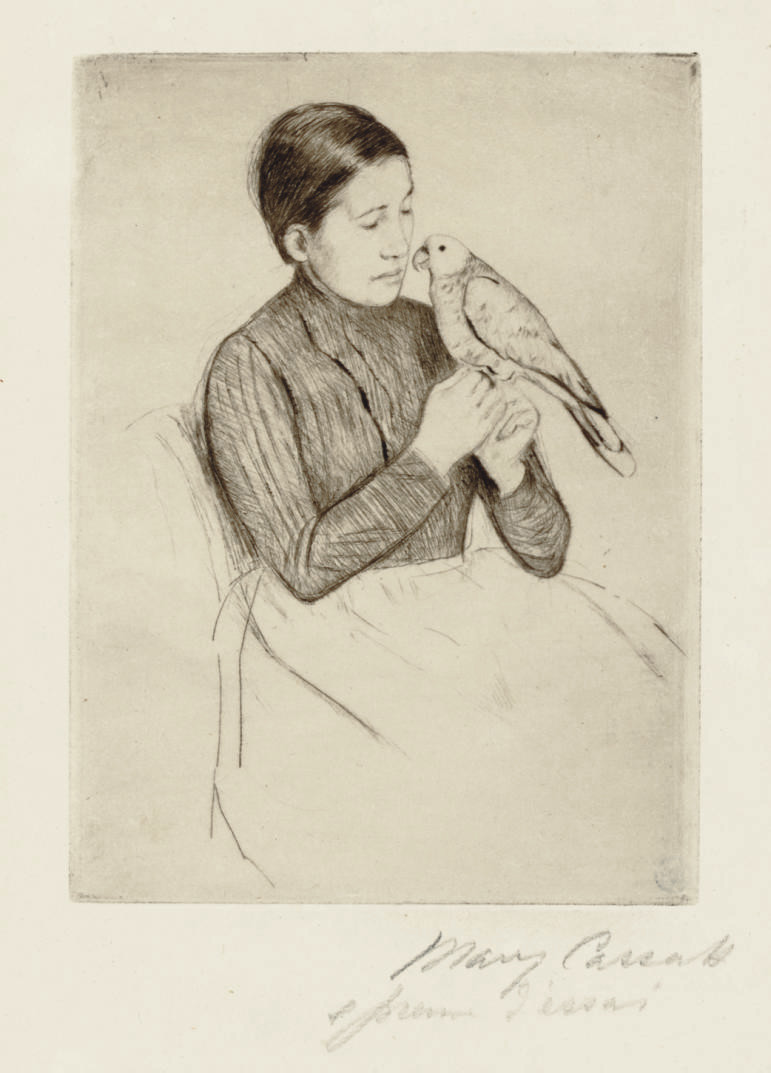 The Parrot (Breeskin 138) 
