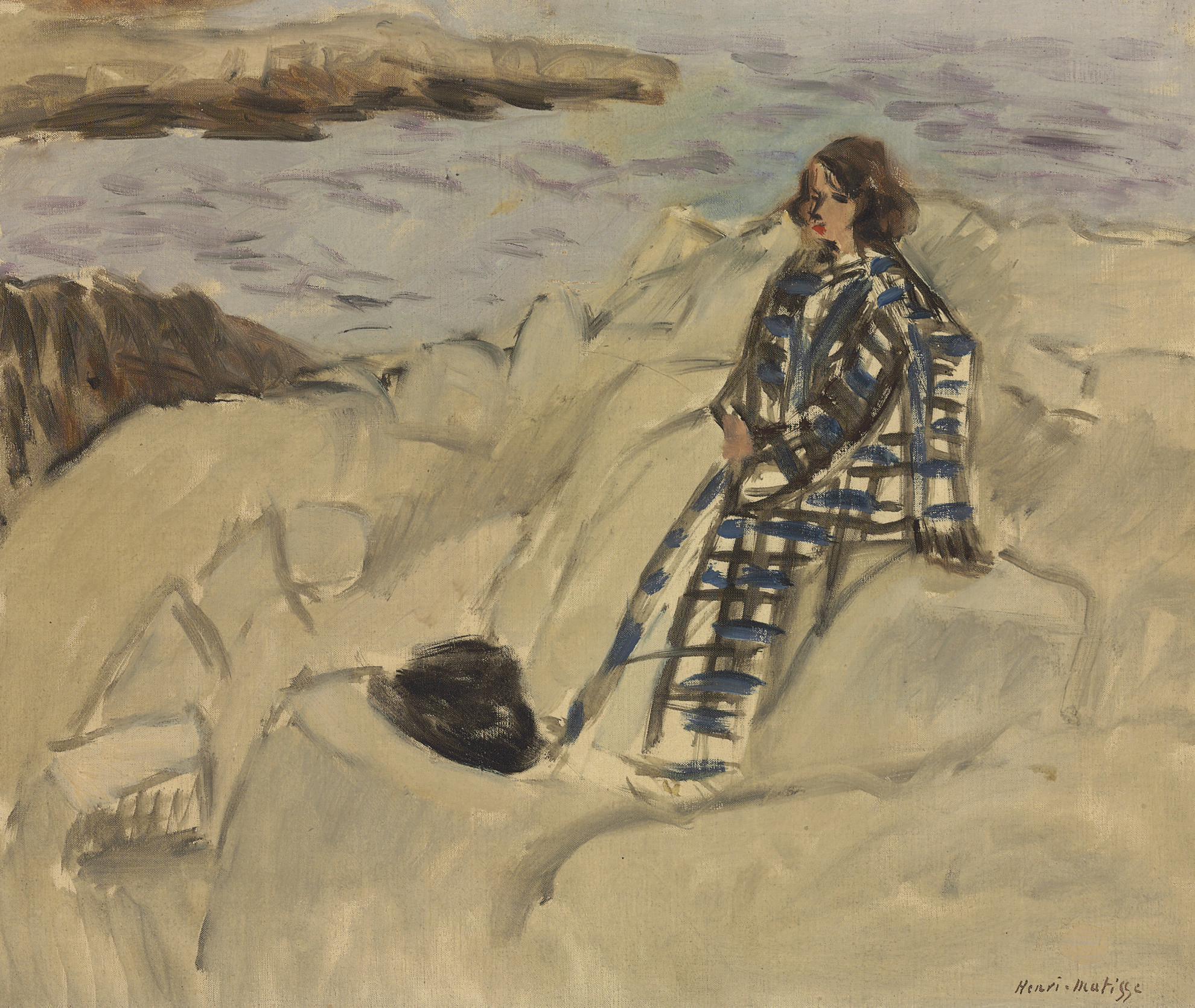 Marguerite sur les roches à Antibes 
