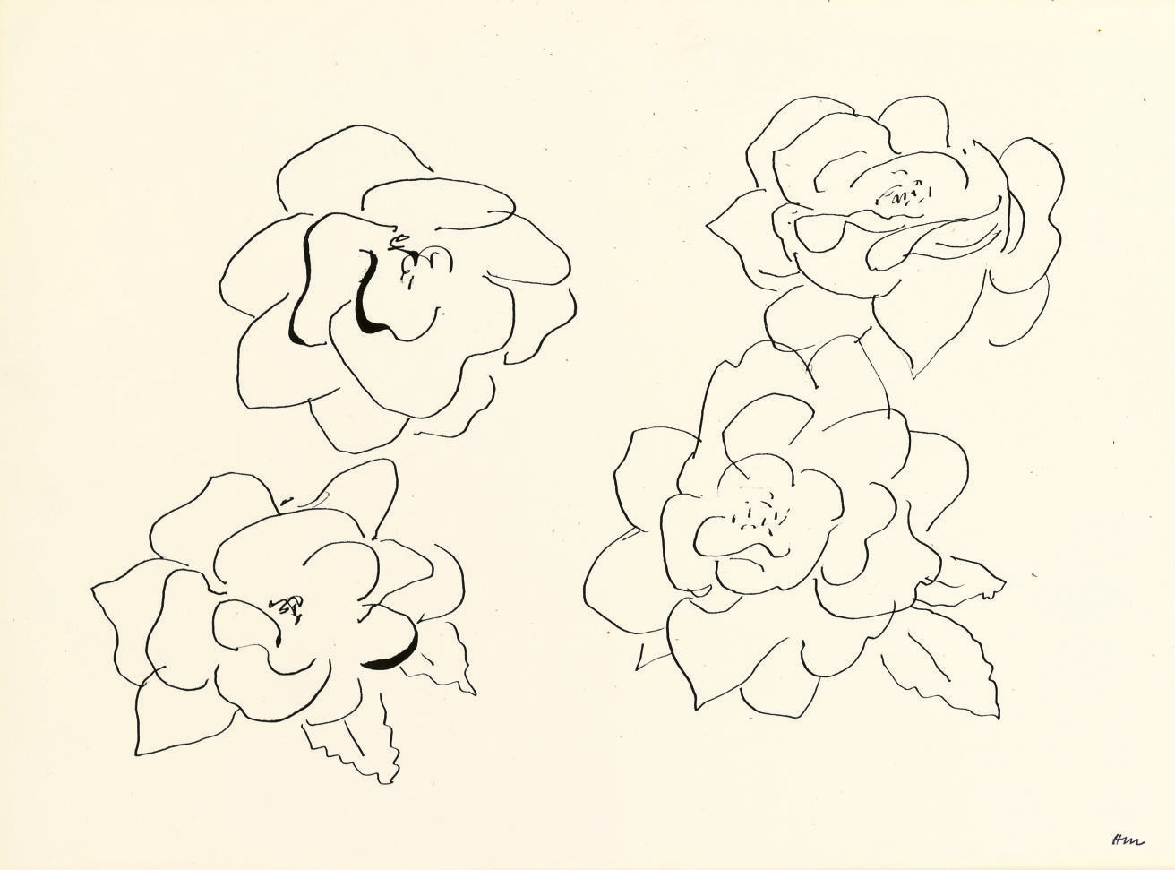 Etude de roses 
