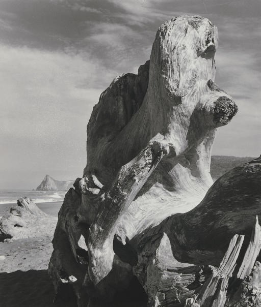 ANSEL ADAMS (1902-1984)