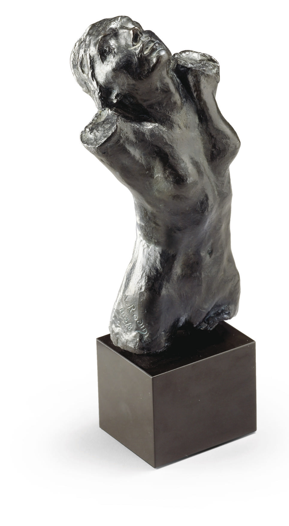 Rodin、noir et blanc Proantic: Auguste Rodin (1840-1919) -