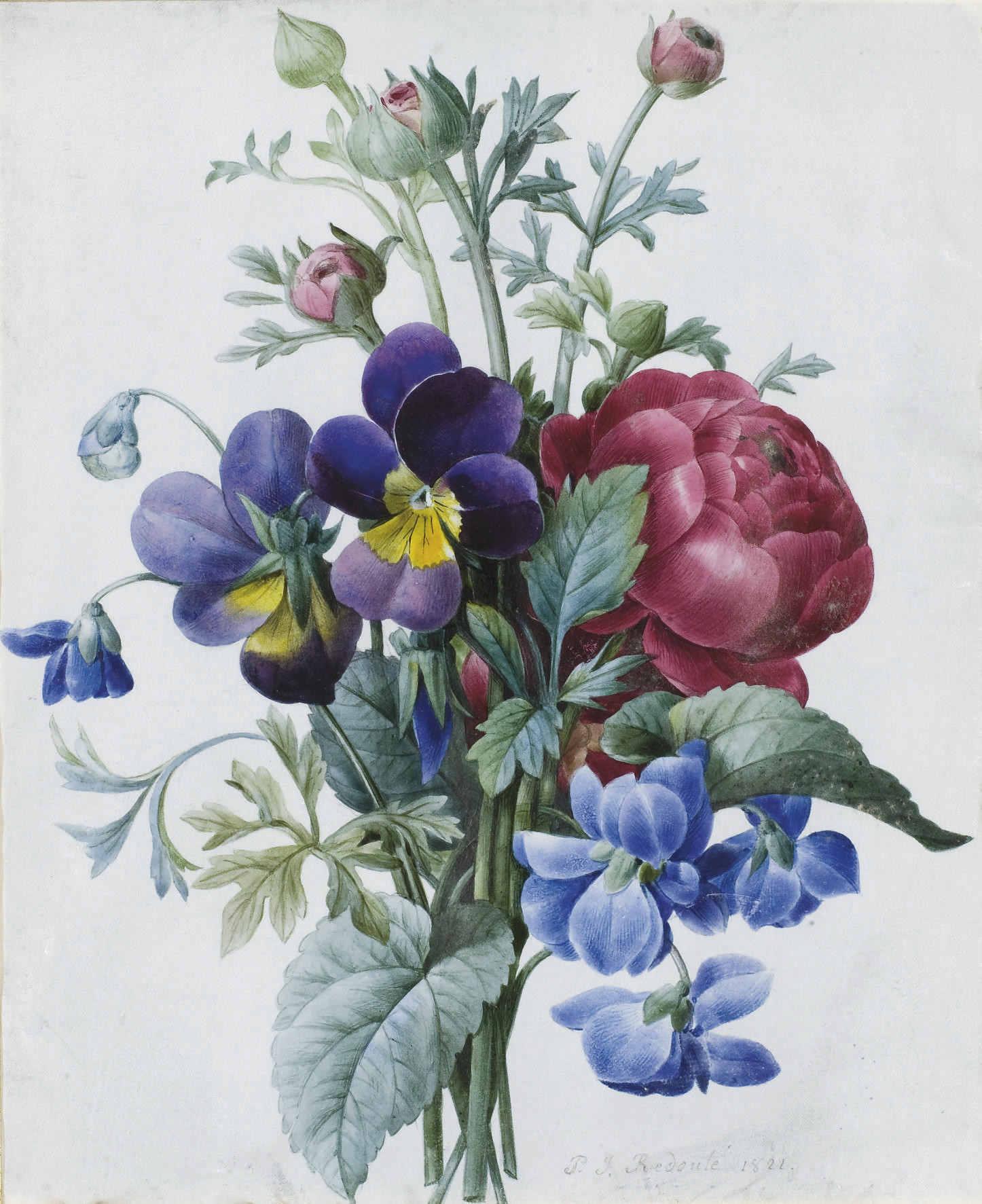 PIERREJOSEPH REDOUTE (1759 1840) , Bouquet de renoncules roses et