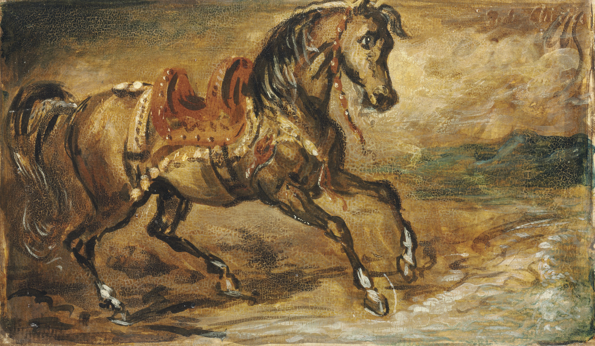 Cavallo bruno 
