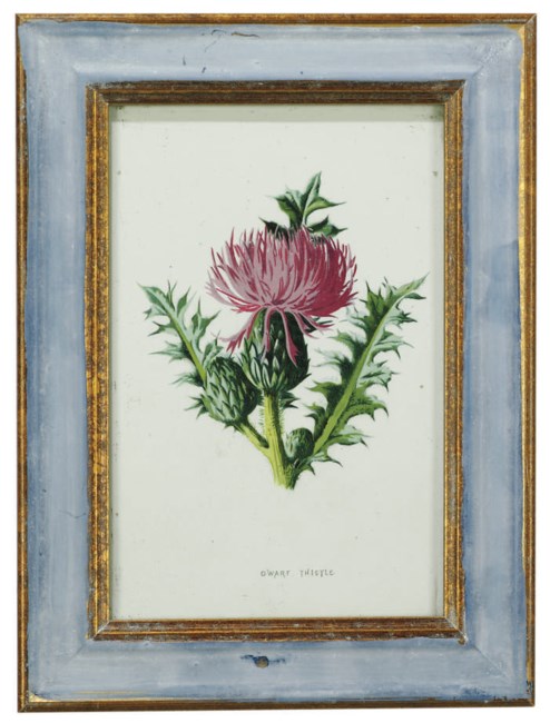 A SET OF TWELVE LITHOGRAPHS OF BOTANICAL INTEREST