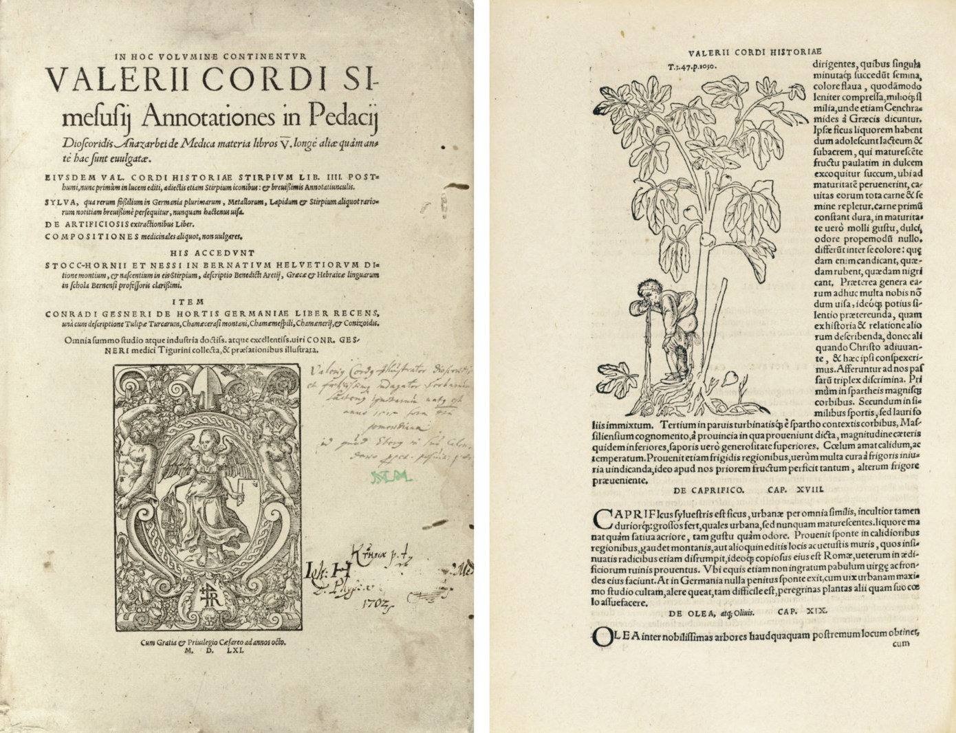 CORDUS, Valerius (1515-1544). In hoc volumine continenteur ...