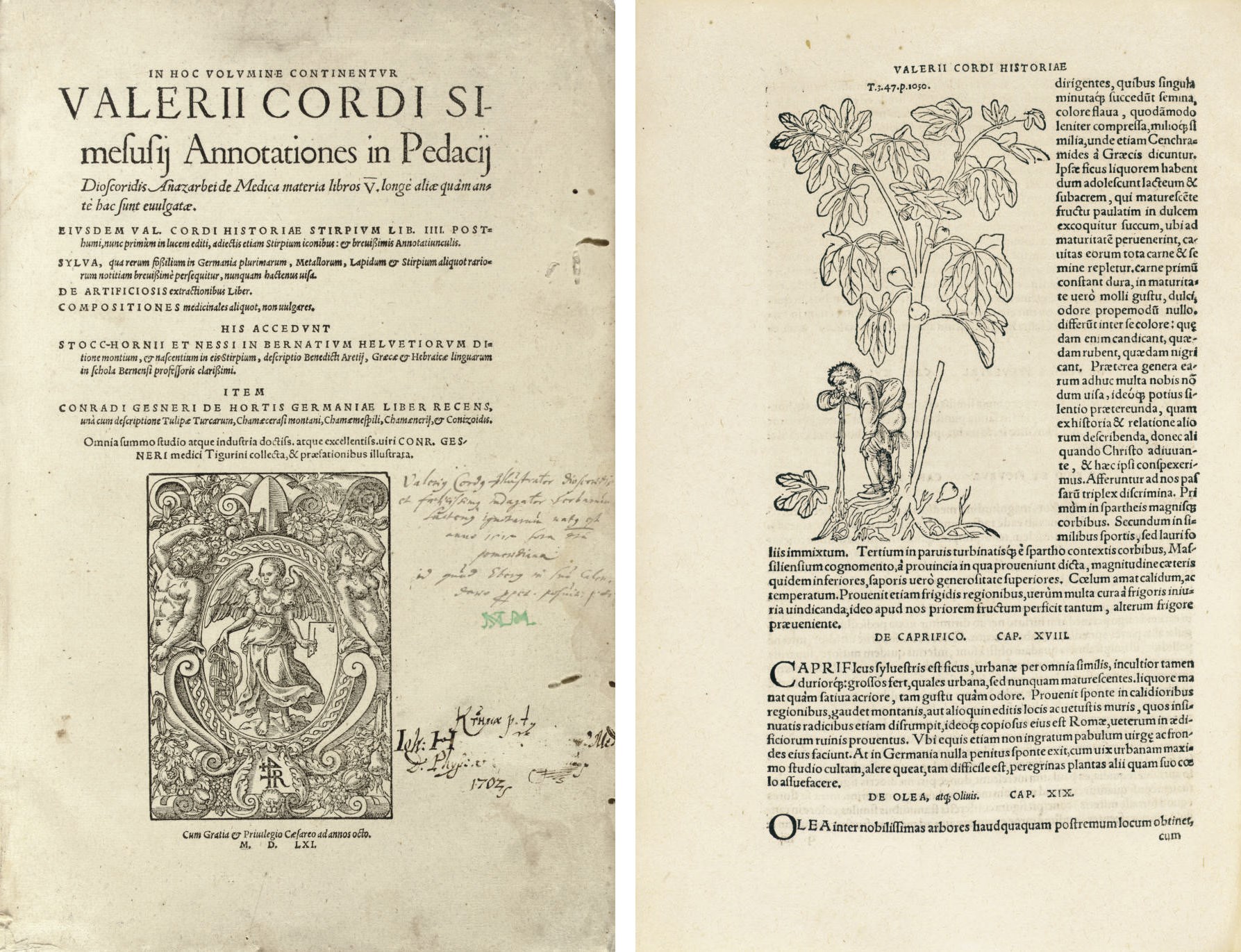 CORDUS, Valerius (15151544). In hoc volumine continenteur
