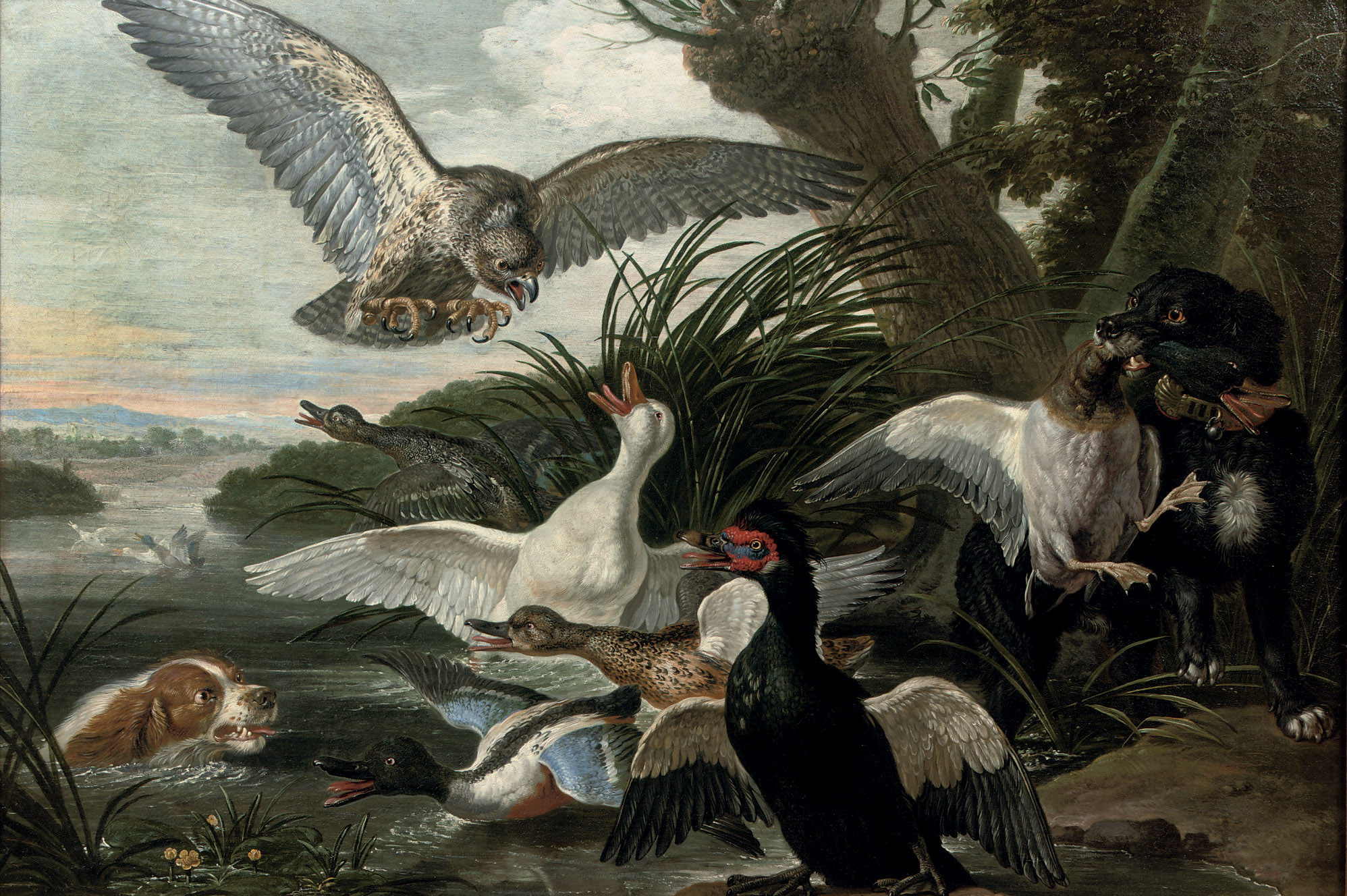 David de Coninck (Antwerp c.1644after 1701 Brussels) , Waterfowl under