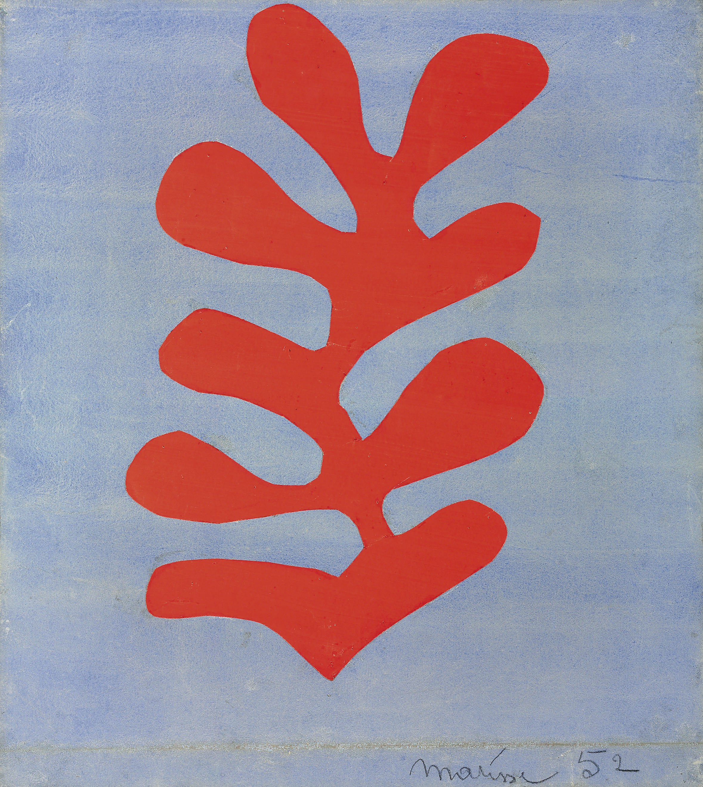Algue rouge sur fond bleu ciel 
