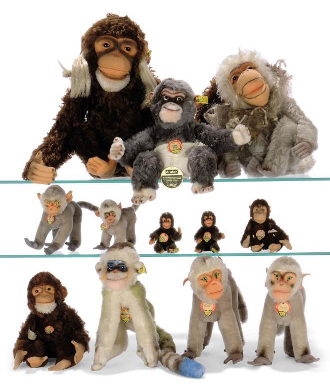 jocko chimpanzee