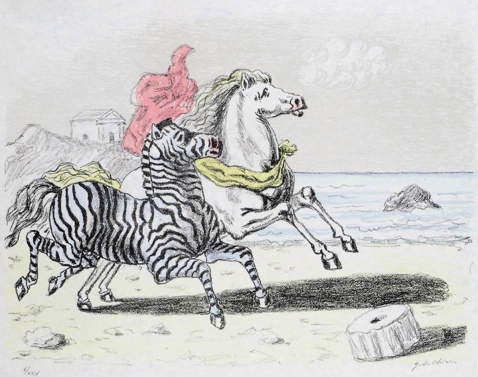 Zebra e Cavallo 
