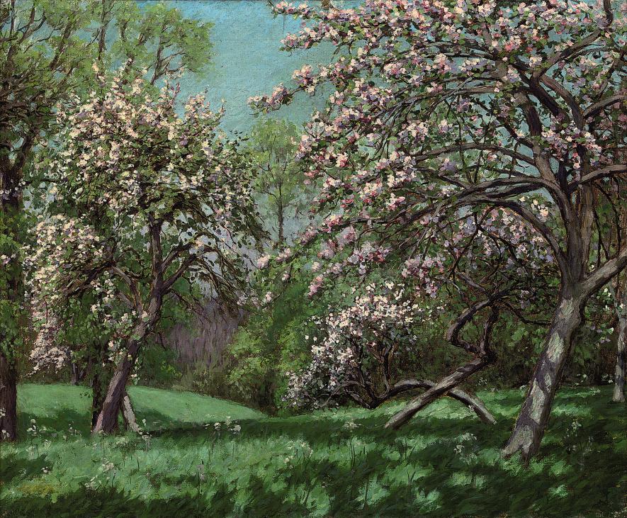 blossom for r mac os x