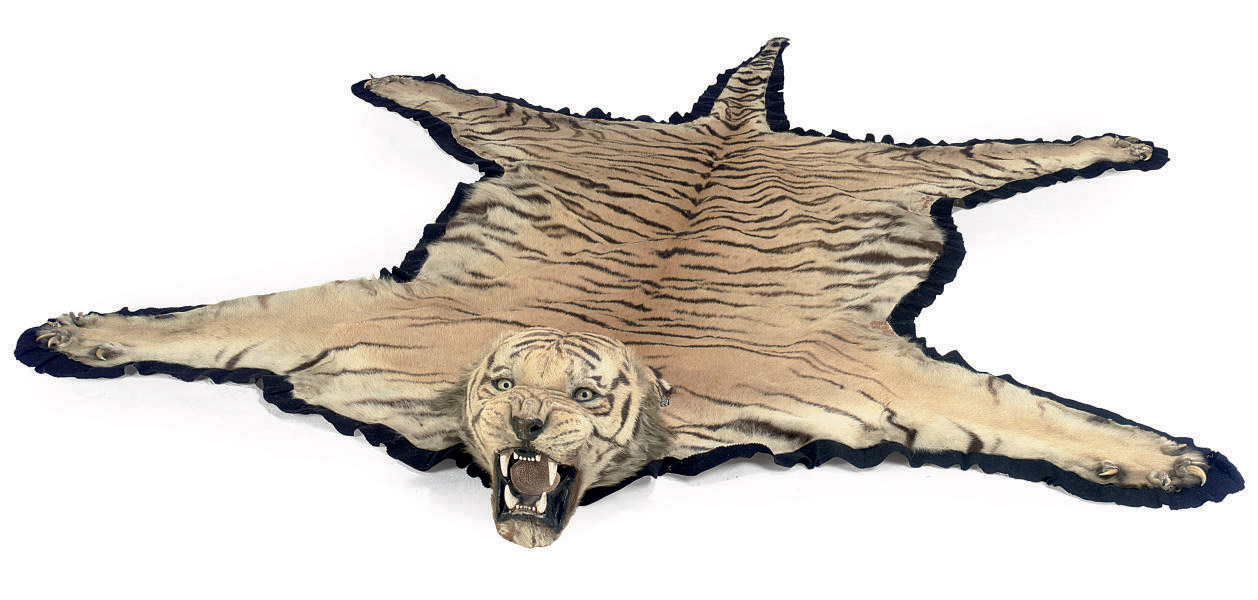 An Indian Taxidermy Tiger Skin Rug Mounted By Van Ingen Van Ingen Mysore Early 20th Century Taxidermy Furniture Lighting Christie S