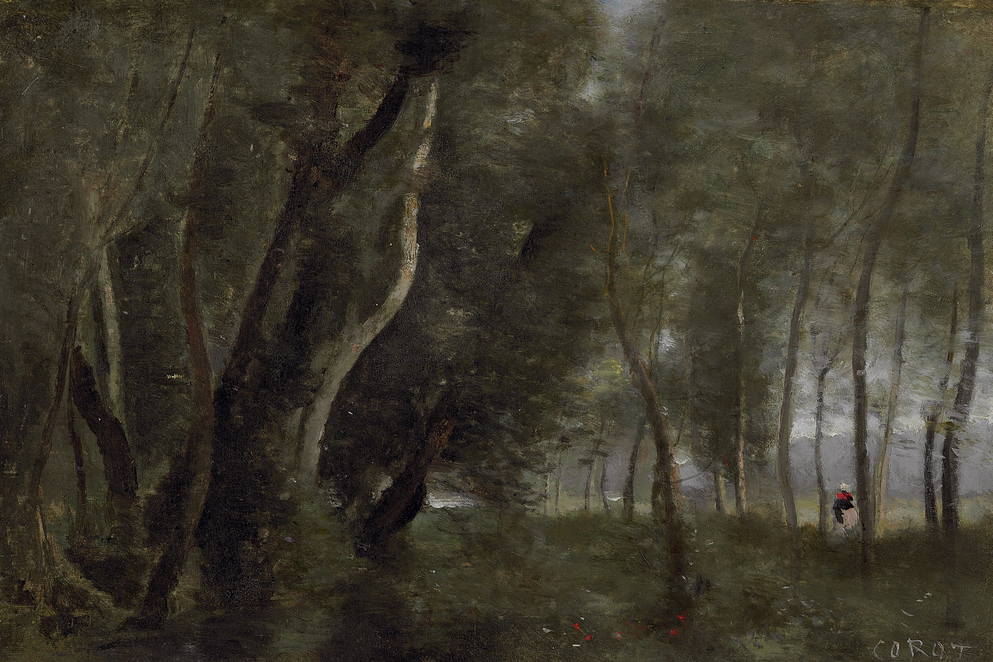 Prairie boisée au bord de l'eau 
