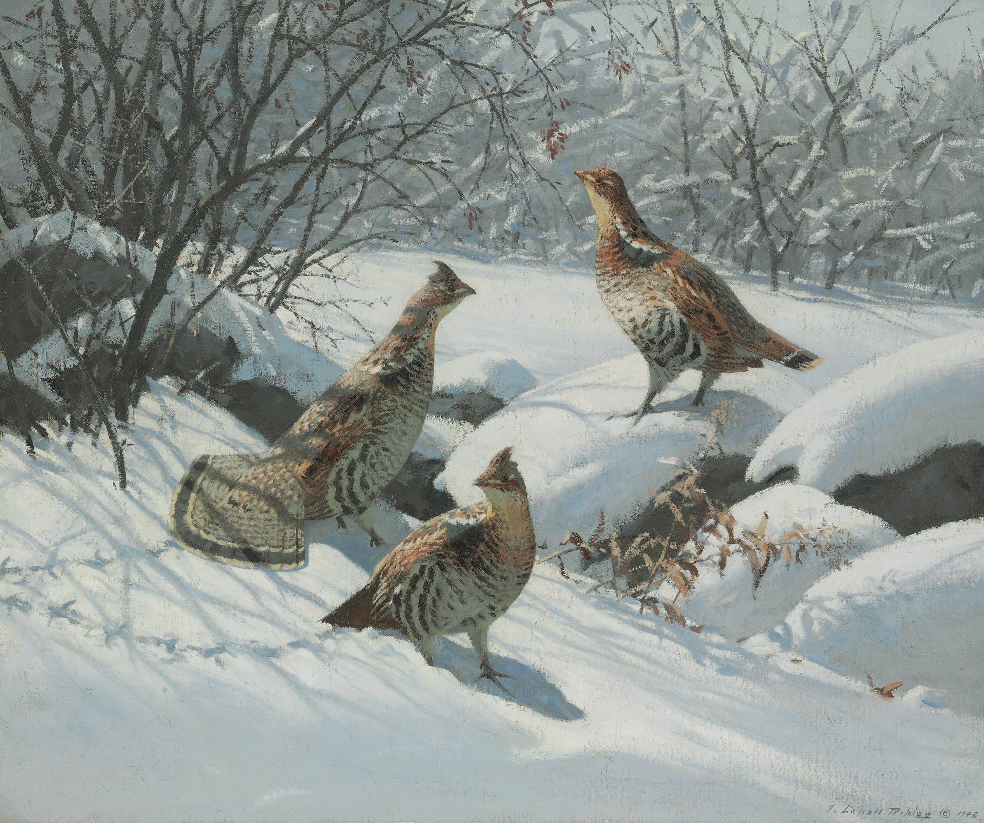 aiden-lassell-ripley-1896-1969-grouse-in-fresh-snow-christie-s