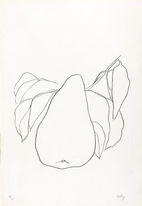 Pear III, from Suite of Plant Lithographs (A. 47) 
