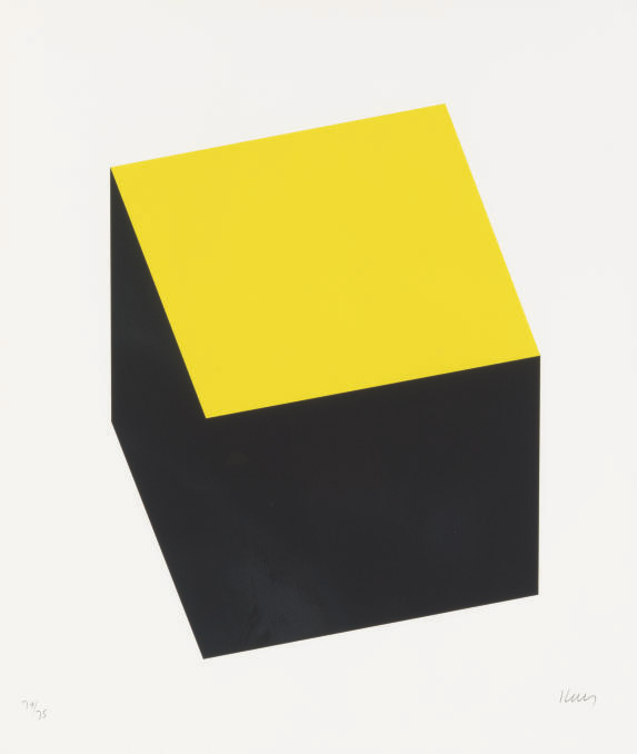 Yellow/Black (A. 69) 
