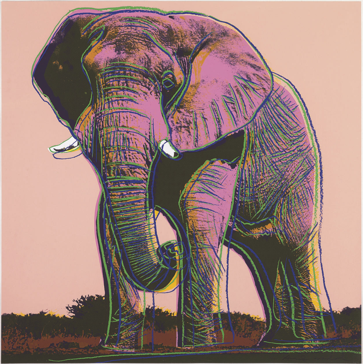 ANDY WARHOL , African Elephant, from Endangered Species (F. & S. II.293