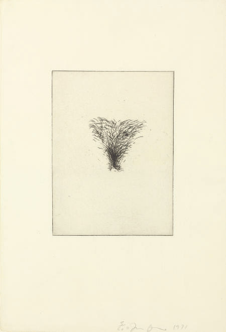 Jim Dine Four Kinds Of Pubic Hair W C 39 42 1970s Prints