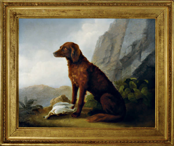 Circle Of Sawrey Gilpin British 1733 1807 A Hunting Dog With