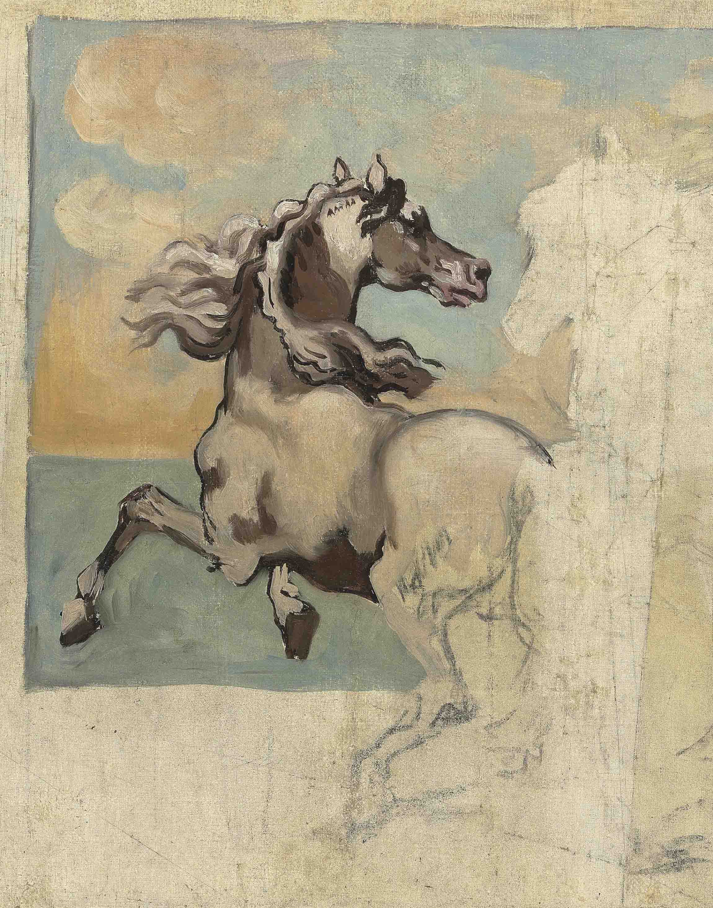 CAVALLO - ABBOZZO 
