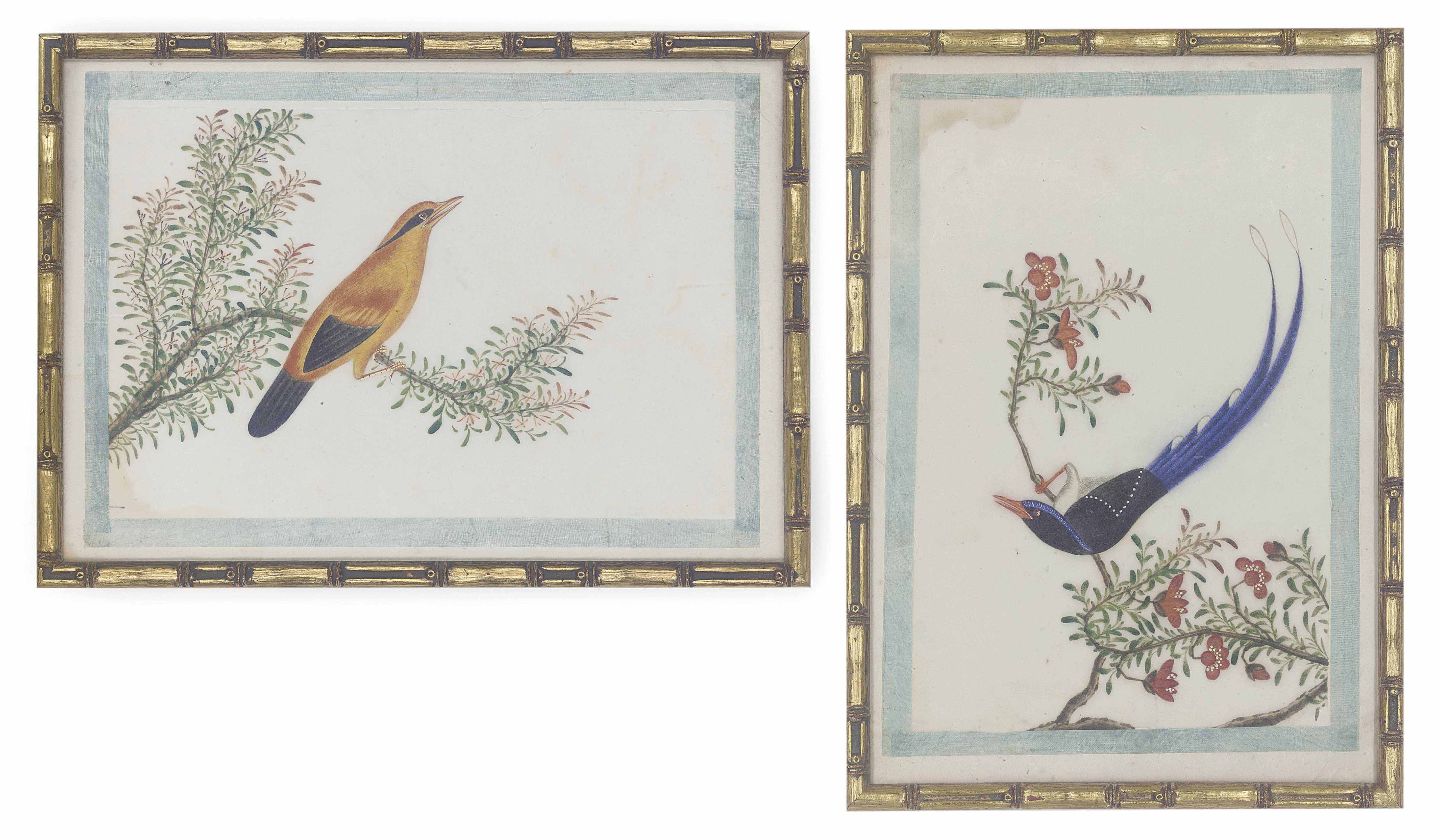 TWELVE CHINESE WATERCOLOUR PAINTINGS ON RICE PAPER , 19TH CENTURY Christie's