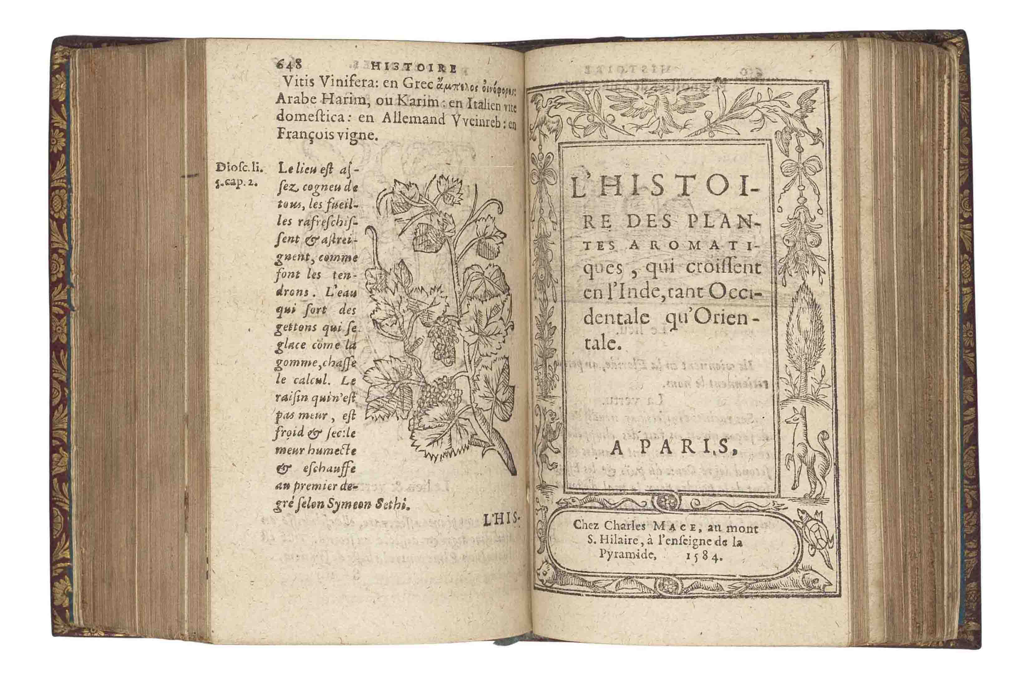 Du Pinet Antoine Ca 1515 Ca 1584 L Histoire Des Plantes Avec Leurs Pourtraicts Noms Qualitez Et Lieux Ou Elles Croissent Translated From Latin Into French By Geoffrey Linocier Paris Charles Mace 1584 7