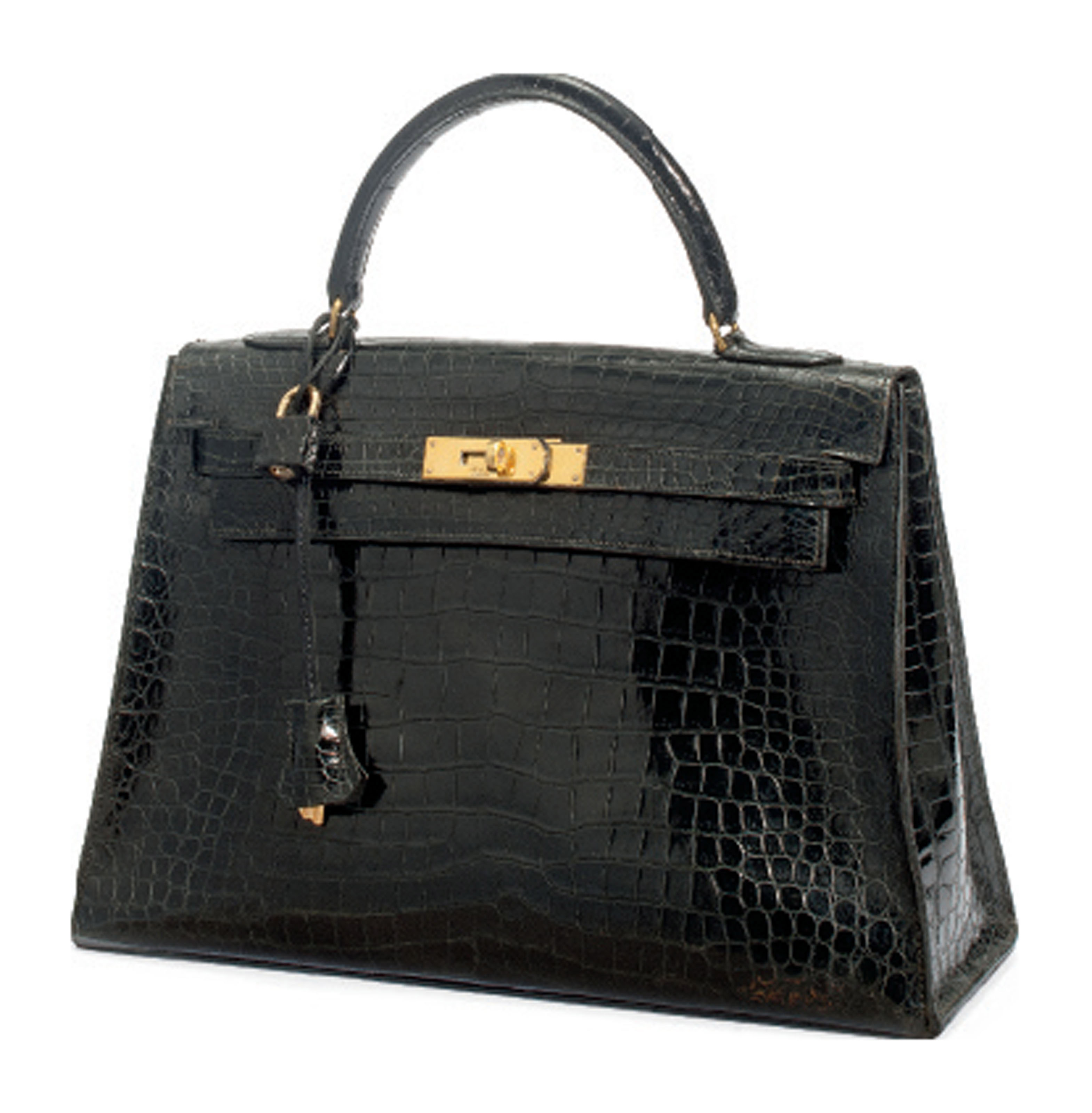 Hermes Kelly Handbag Crocodile Attacks | semashow.com