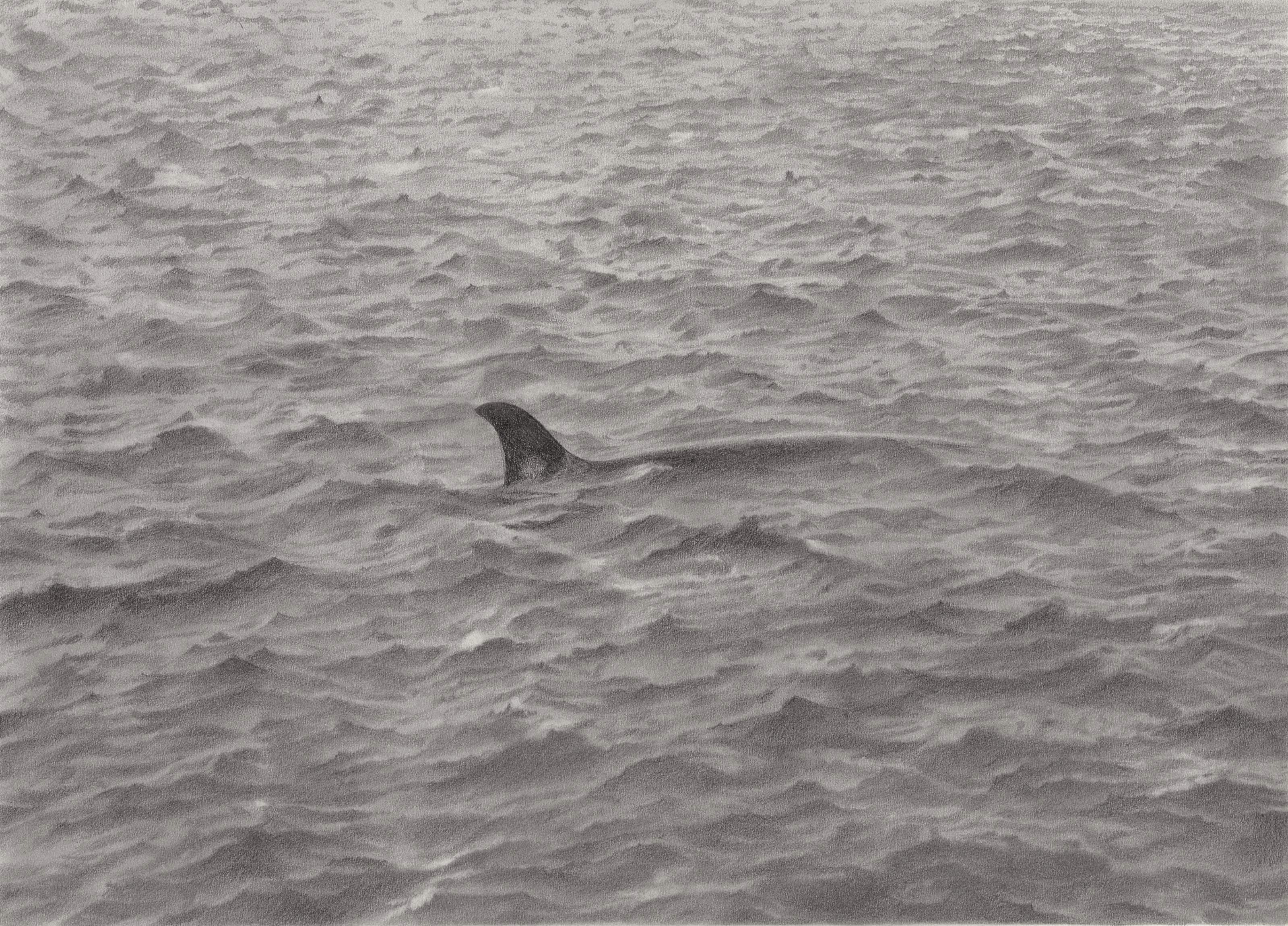Vija Celmins (b. 1939) , Sea Drawing with Whale Christie's