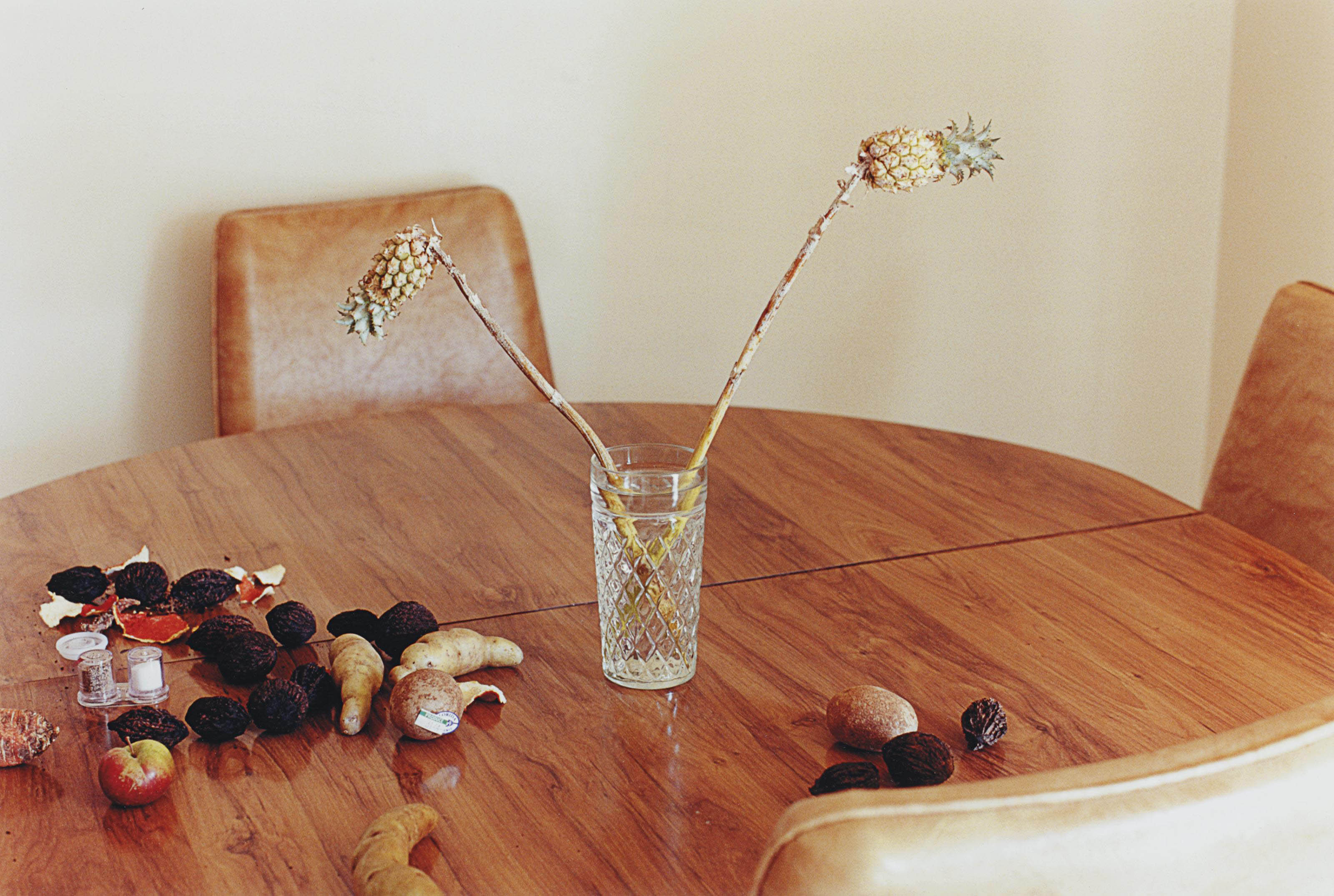 WOLFGANG TILLMANS (B. 1968) , L.A. Still Life, 2001
